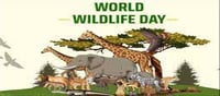 World Wildlife Day: All you need to know...